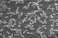 l.mono20_etiq